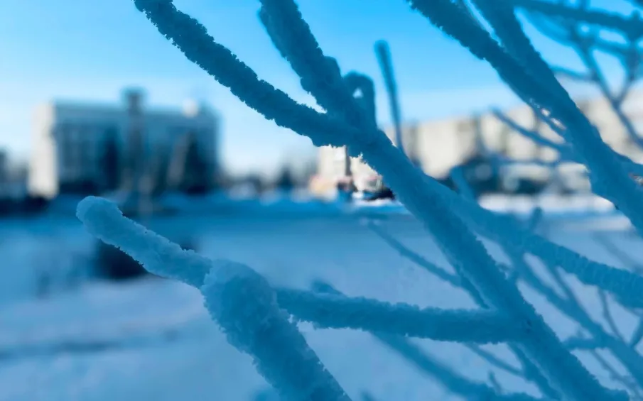 Предупреждение! Ожидается аномально холодная погода!